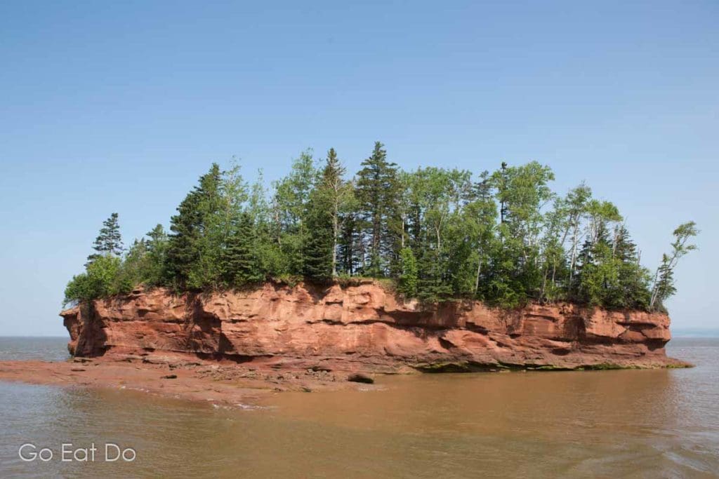 Trees on an island formed by tidal erosion caused by the ebb and flow of the Bay of Fundy at Burntcoat Head.