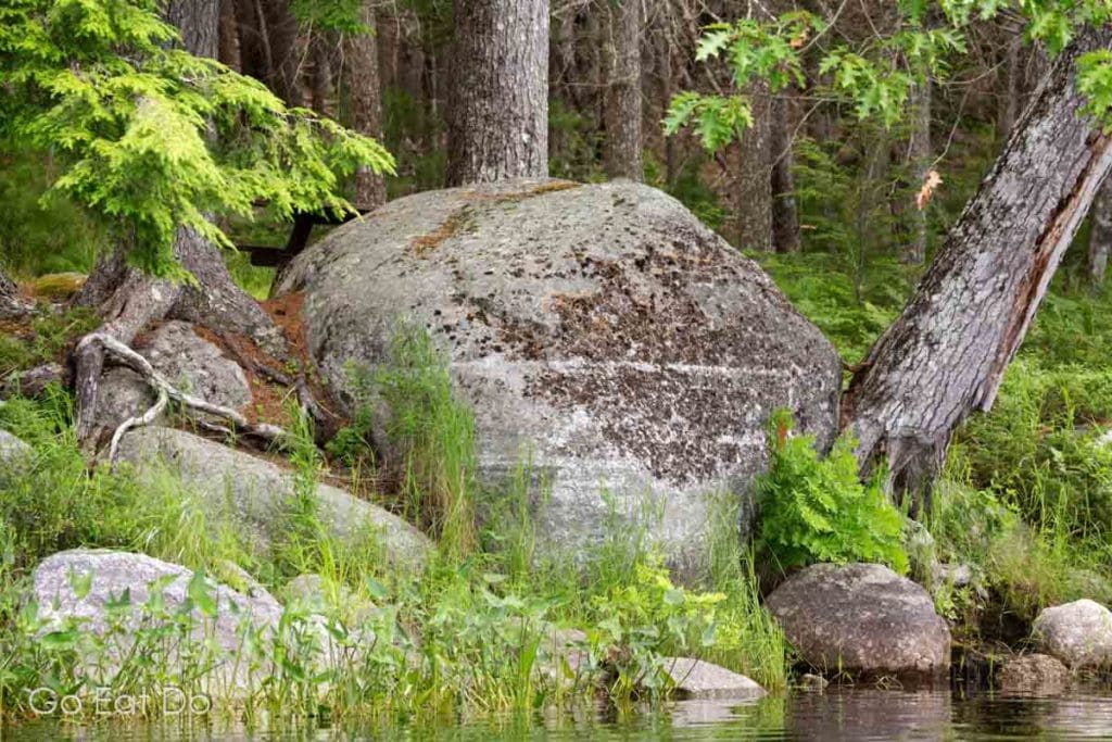 A boulder marked with grooves from Ice Age glaciers in Kejimkujik National Park and National Historic Site.