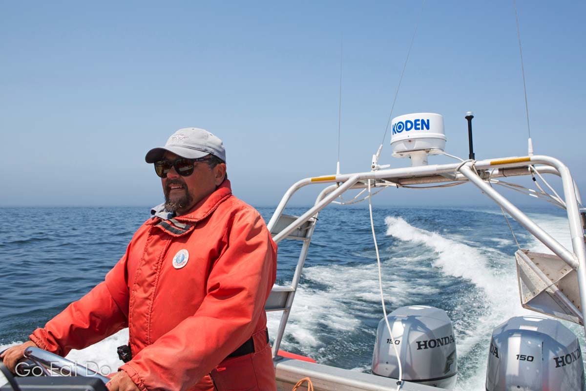 Captain Tom Goodwin navigating during an Ocean Expeditions Zodiac Whale Cruise off Nova Scotia's coast while whale-watching in the Bay of Fundy.