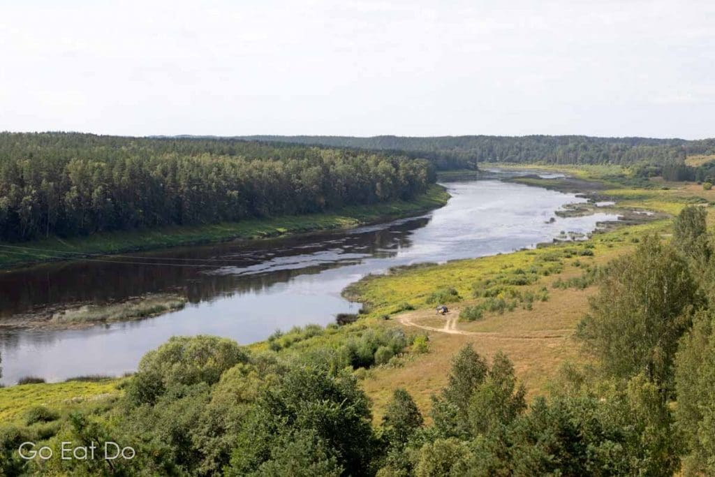 Woodland by the Daugava River meandering in the Daugavas Loki Nature Park.