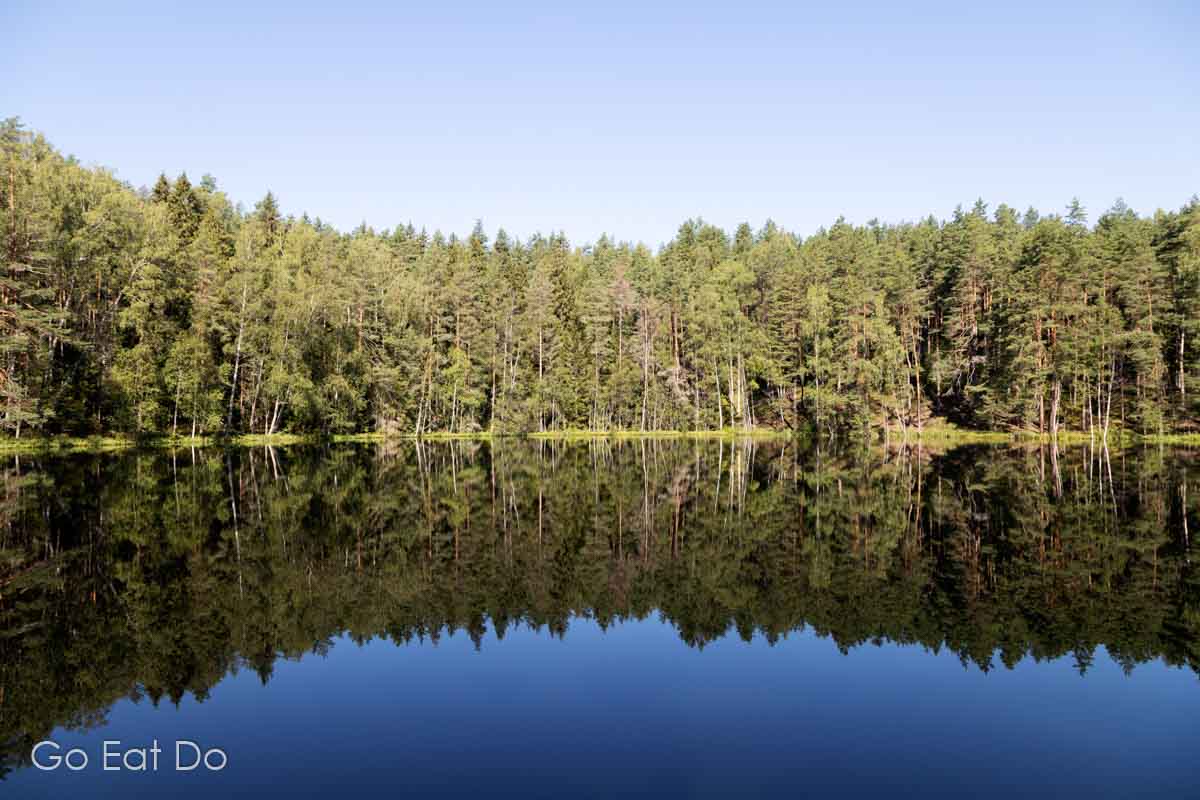 Trees reflect in the perfectly calm surface of Devil's Lake, also known as Velnezers, near Aglona, in the Latgale region of Latvia. Visiting is one of the things to do in Latgale.