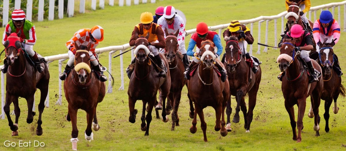 Horse racing is one of many reasons to plan a weekend in Liverpool.