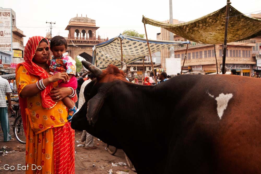 A woman and a child look at a cow at Jodhpur's Sardar Market. The animal has a patch similar in shape to the map of India.