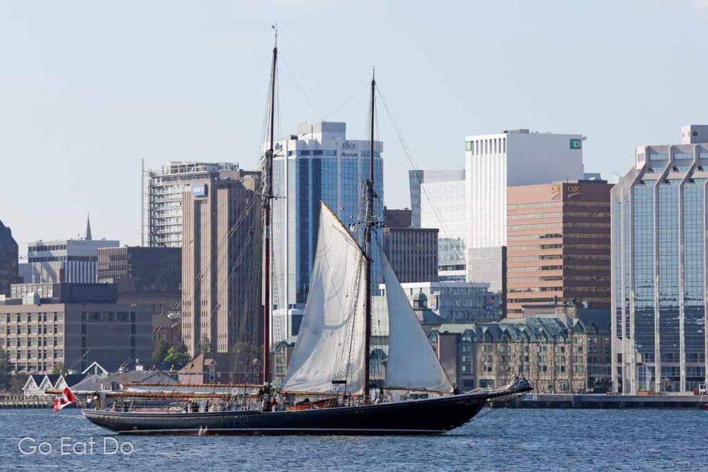 Bluenose II sailing in Halifax Harbour. The Bluenose Centennial in 2021 will celebrate the launching of the original boat.