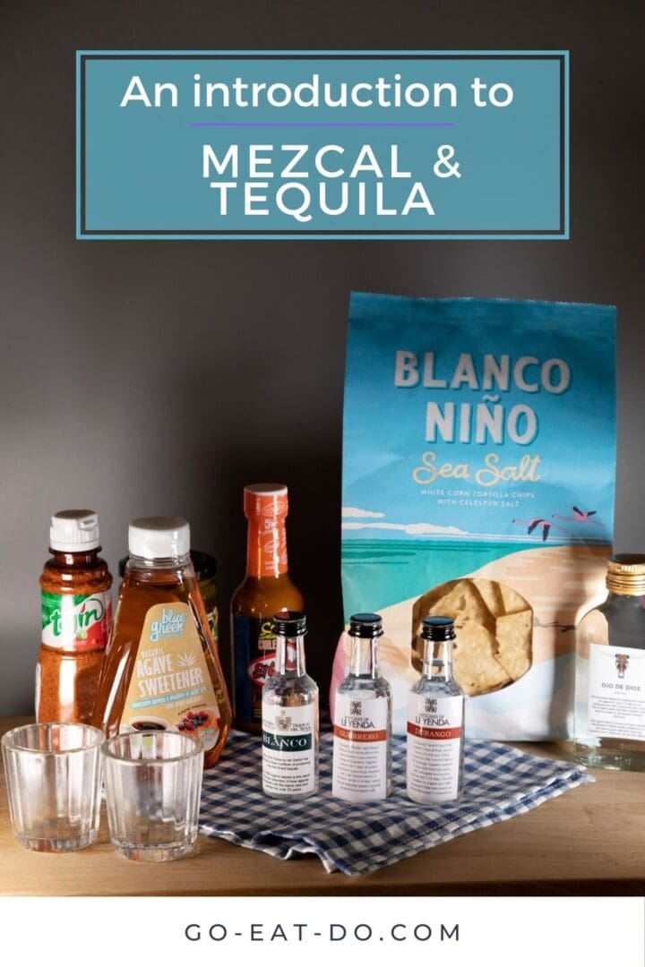 Pinterest pin for Go Eat Do's blog post about participating in a virtual Mexican spirits tasting providing an introduction to mezcal and tequila.