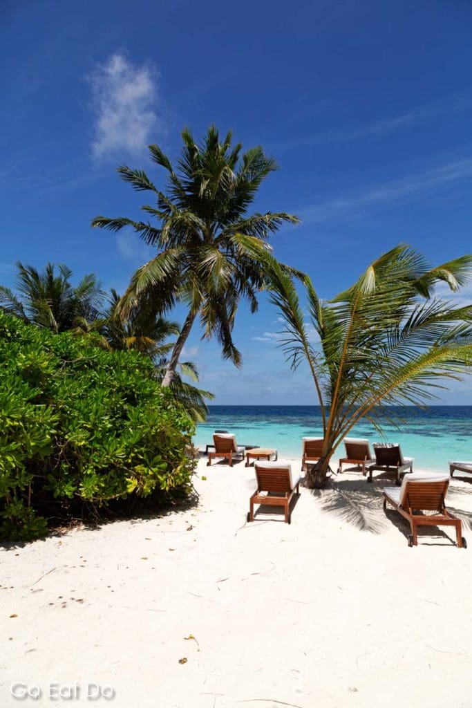 Sun loungers on a sandy beach in the Maldives