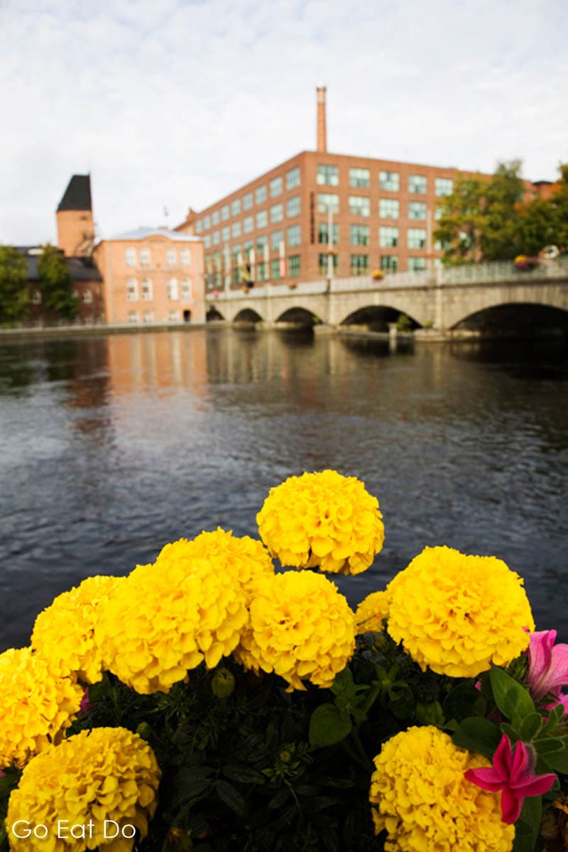 Yellow flowers adorn the Tammerkoski riverside in the city of Tampere, where the Finlayson Mill complex has been converted into a cultural and entertainment hub.