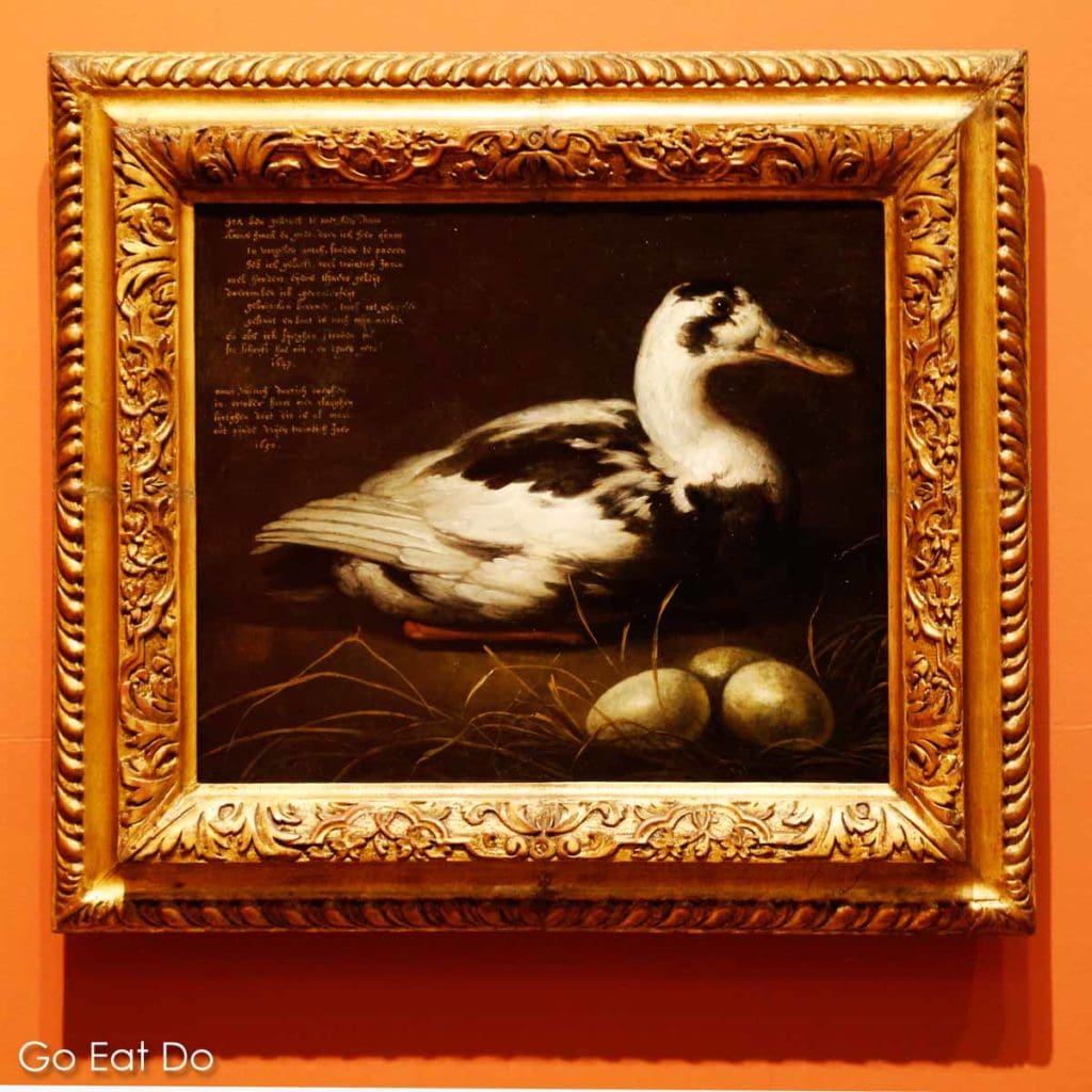 Aelbert Cuyp's portrait of Sijctghen, a 20-year-old duck, displayed at the Dordrechts Museum, one of the oldest art museums in the Netherlands.