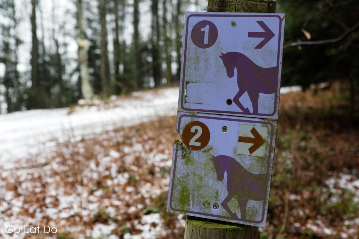 Signs for horse riding trails in the Pohorje Mountains one of the outdoor activities in Maribor that visitors can experience.