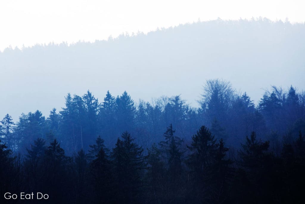 Fir trees seen on a misty winter day on the Pohorje Mountains on the outskirts of Maribor, Slovenia.