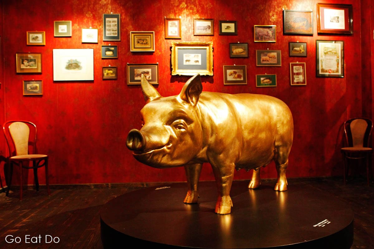 Golden pig displayed at the SchweineMuseum Stuttgart.