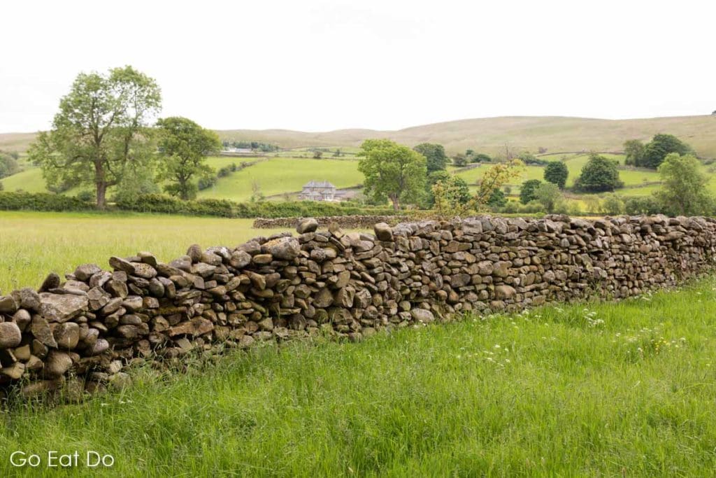 A dry stone wall demarcating fields just south of the River Rawthey