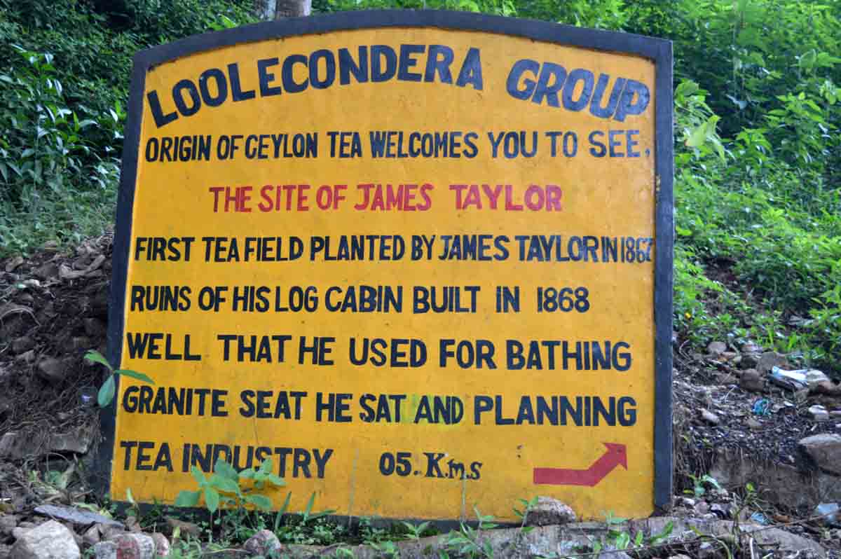 Hand painted sign at Loolecondera Tea Estate in Sri Lanka.