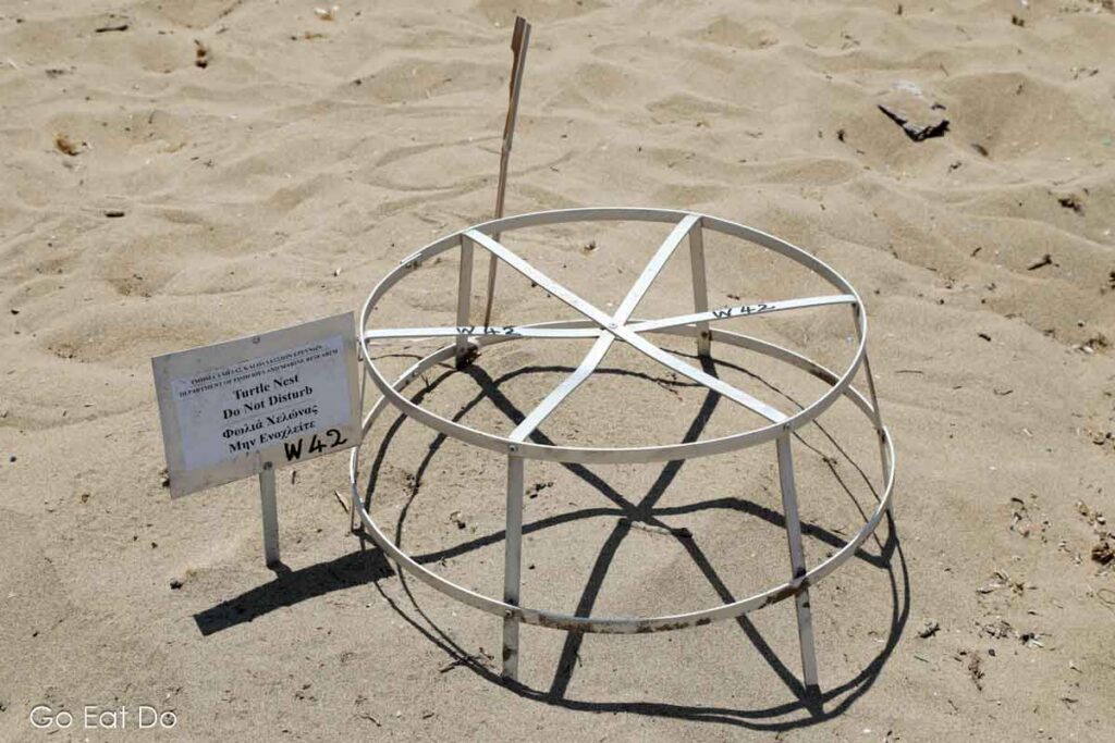 A turtle nest on a beach on the Akamas Peninsula of Cyprus.