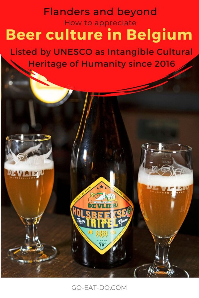 Pinterest pin for Go Eat Do's blog post with expert tips on how to appreciate beer culture in Belgium.